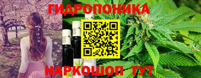 гидра Малоярославец