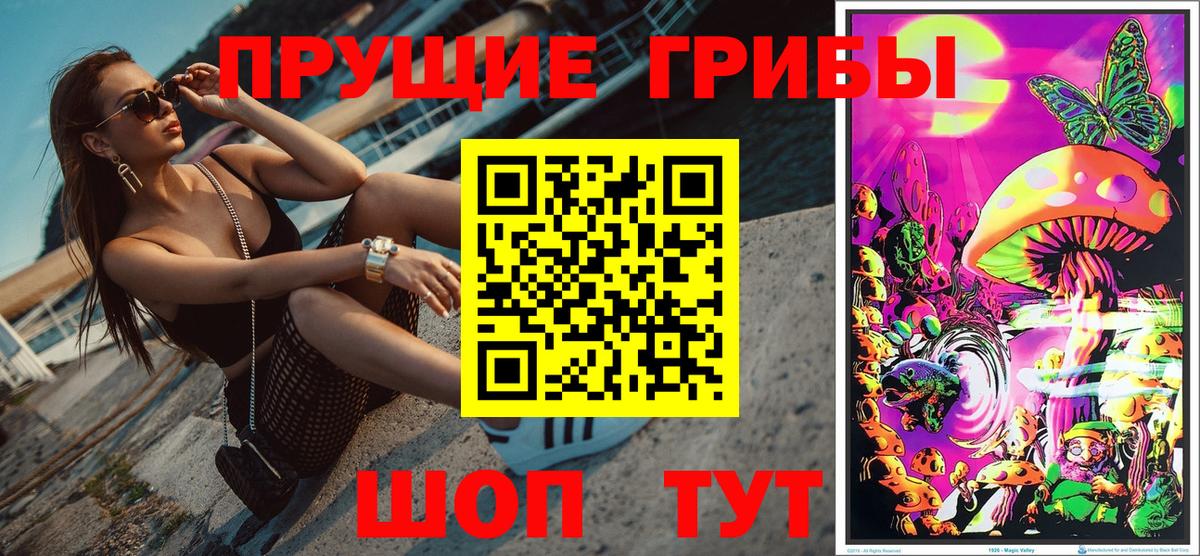Видное  Псилоцибиновые грибы прущие грибы  Вход с VPN  Галлюциногенные грибы прущие грибы 